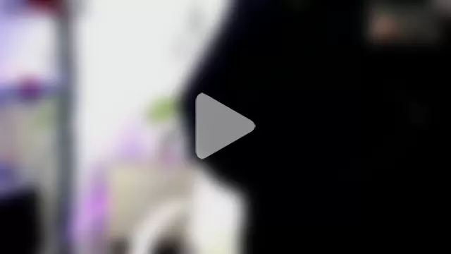 NyxAndria_1 photo 17