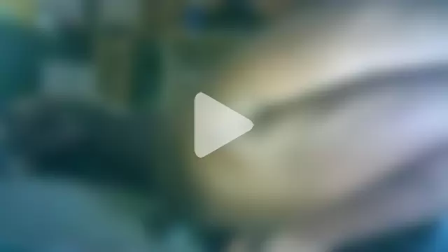 ON3YOULLN3VER_FIR3 photo 13