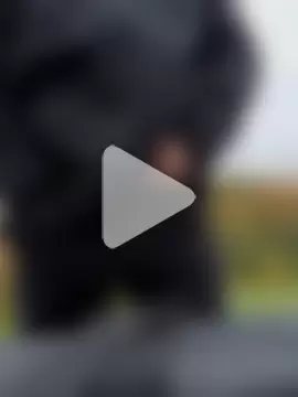 OdinWolf1990 photo 26