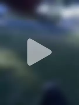 Osmarcito21 photo 14