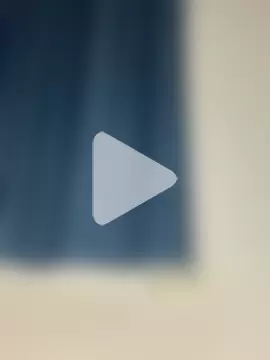 PINO_pino_01 photo 16