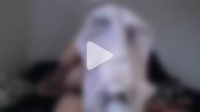 PIXIEBITCHXXX26 photo 1