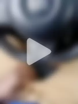 Palchocolate photo 5