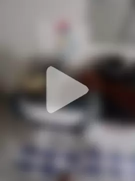 Palchocolate photo 4