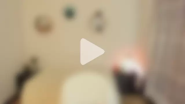 Paloma_victory photo 13