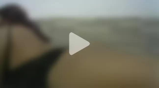 Pamela_edenon photo 4