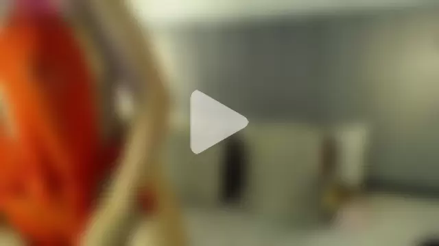 Pamela_occoner_ photo 12