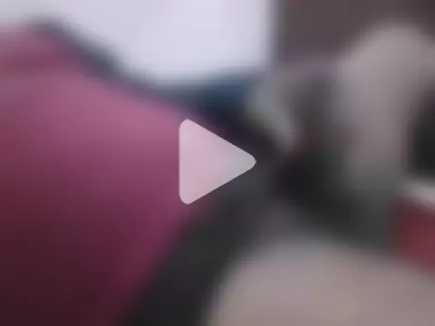 Pankaj_Desi_Jaat photo 5