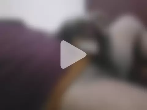 Pankaj_Desi_Jaat photo 4