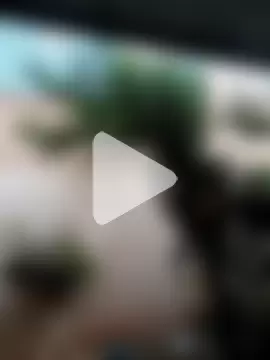 Pantaneirasexy photo 9