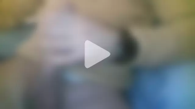 Patrickhound photo 1