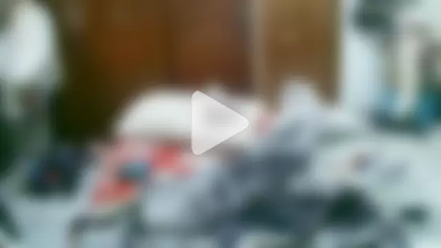 PatrondelMal666 photo 23