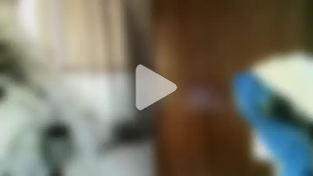 PatrondelMal666 photo 14