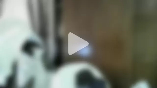 PatrondelMal666 photo 2