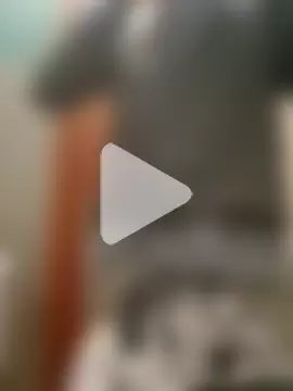 Pauzudoooootk photo 13