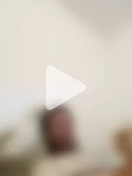 Pedro_35_Zorro photo 5