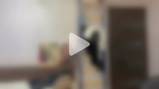 Peekinside photo 10