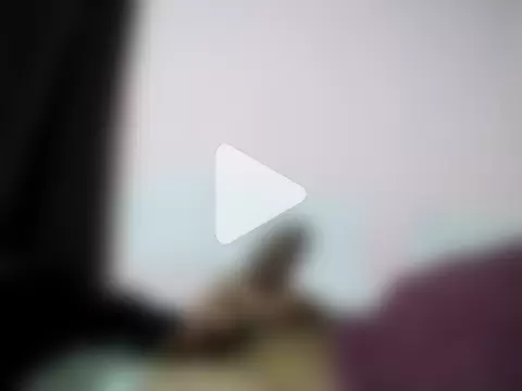 Penecitonoob photo 7