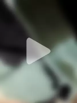 Penecitonoob photo 6