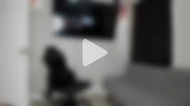 Persiasparadise photo 12