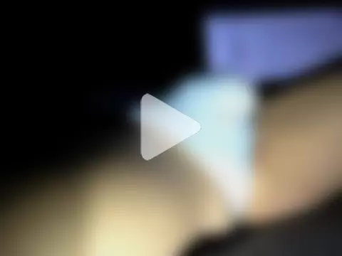 Pferdeschwanz_XL photo 13