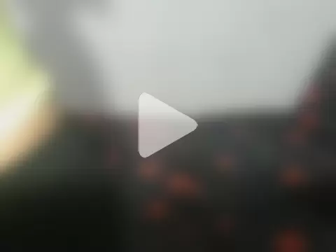 Phoenix_Curvelicious photo 10