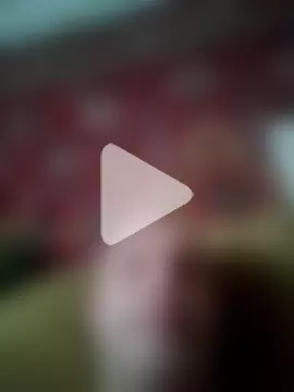 Pineapple04 photo 11