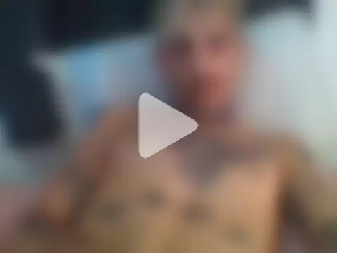 PitbullDiablo1 photo 2