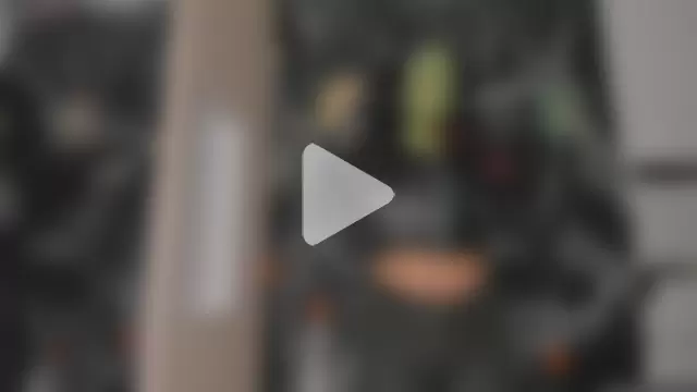 PittAndLunaa photo 1