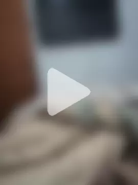 Pitypin7 photo 18