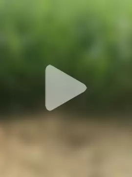 Playboy_xxx_69 photo 12