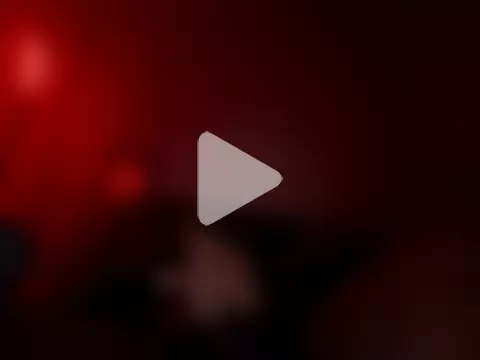 PointingPetrol photo 2