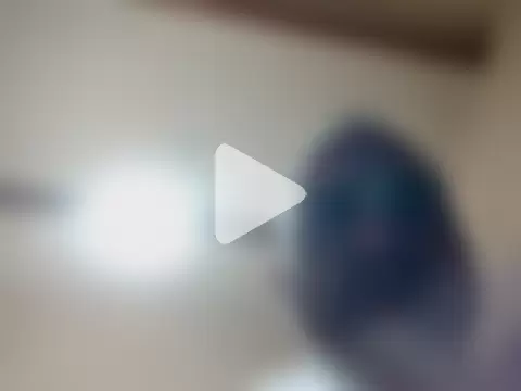 Pollagorda_34877 photo 8