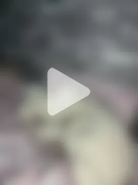 Poppy_frankie photo 4