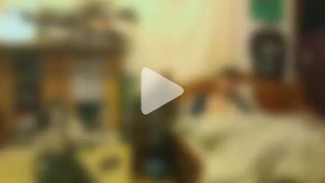 PornStarXTC-GunDailyLife photo 3