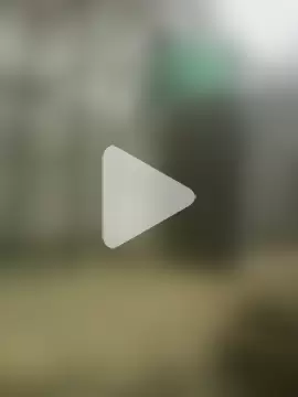 Ppdasloucuras photo 6