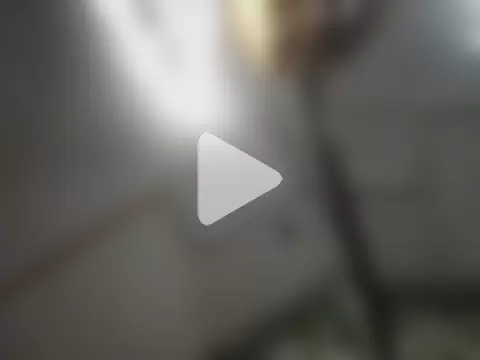 PreciousDesign875 photo 11