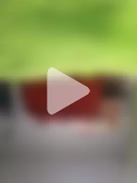 PreciousDesign875 photo 1