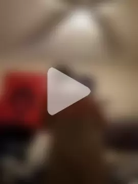 PremiumKitty photo 2