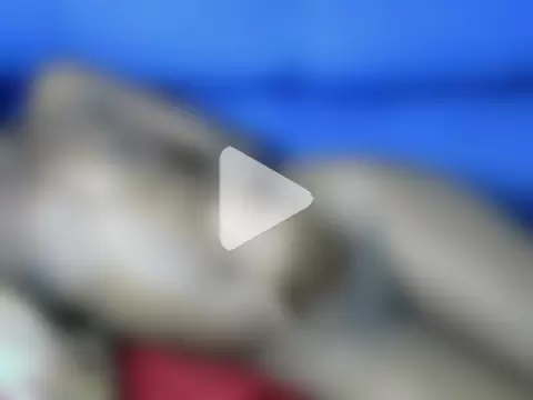 Pretty_Jojoh255 photo 14