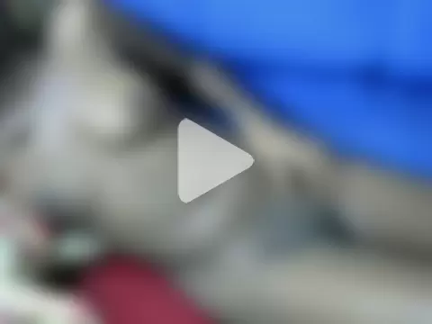 Pretty_Jojoh255 photo 3