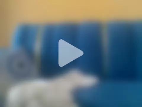 Prettyblackgal photo 22