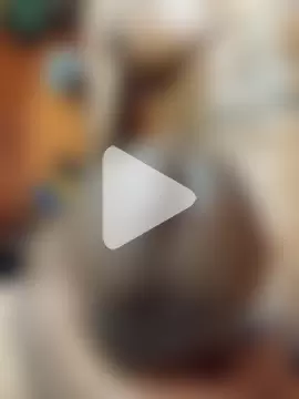 Primetimer919 photo 11