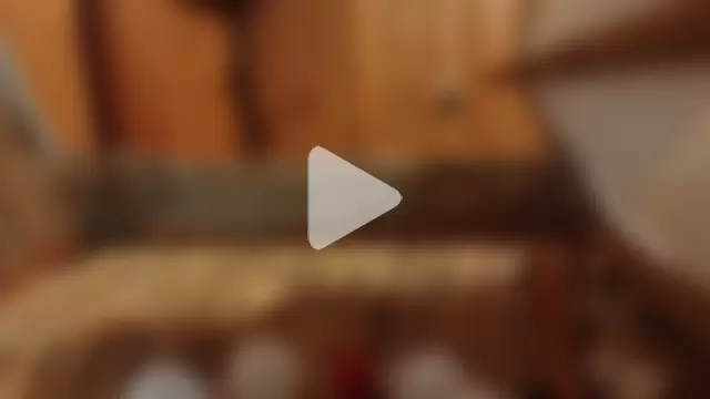 PrimordialChill6 photo 4