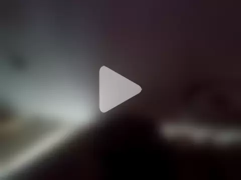 PrinceNoAlbert photo 13