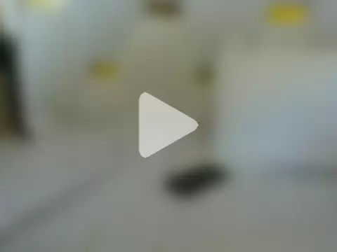 PrincessYankee photo 21