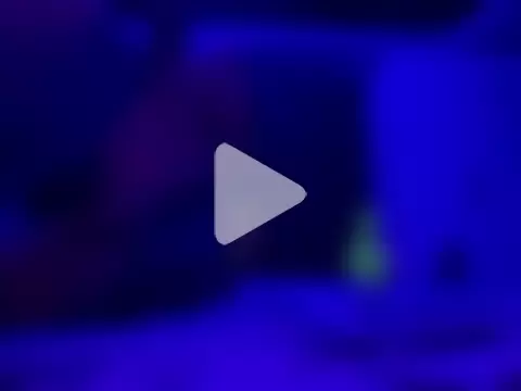 Princess_Dianka photo 2