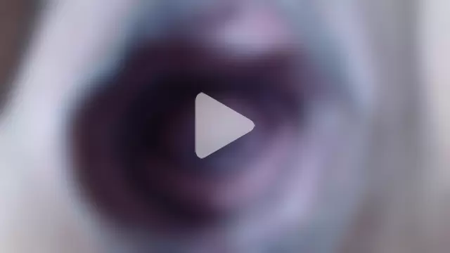 Princess_pussy01 photo 18