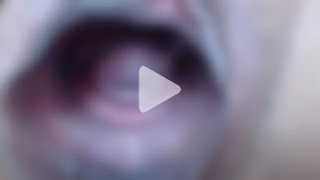 Princess_pussy01 photo 9