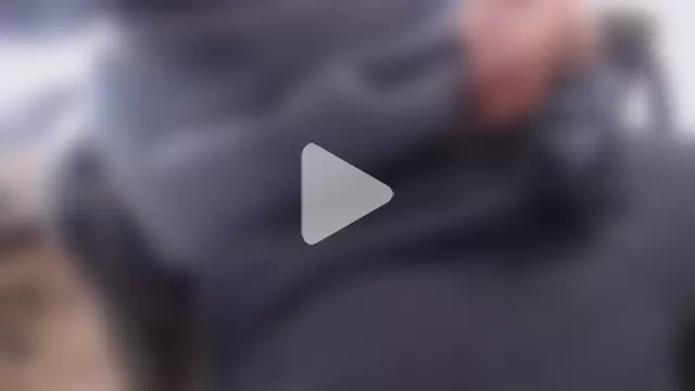 Prolapse_Pig photo 14